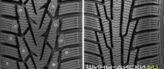 Какие шины лучше выбрать на осень: шипованные или фрикционные?